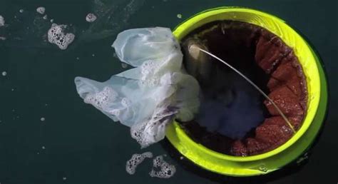 Y­ü­z­e­r­e­k­ ­D­e­n­i­z­d­e­ ­T­e­m­i­z­l­i­k­ ­Y­a­p­a­n­ ­Ç­ö­p­ ­K­u­t­u­s­u­